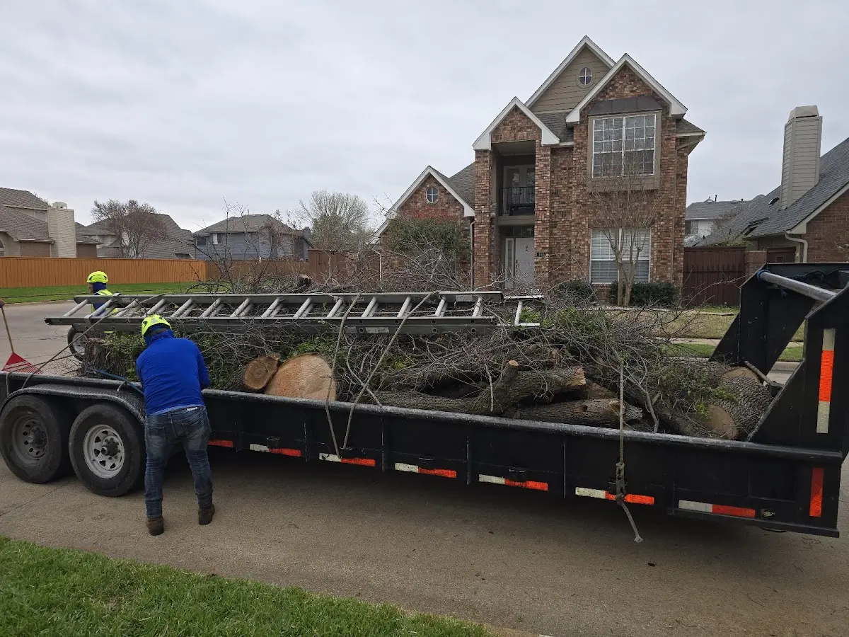 Expert Tree Removal with proper safety equipment in Leesburg